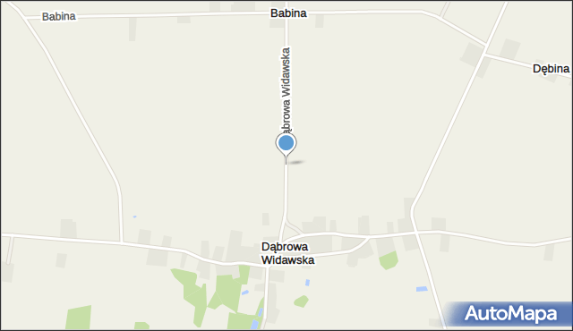 Dąbrowa Widawska, Dąbrowa Widawska, mapa Dąbrowa Widawska