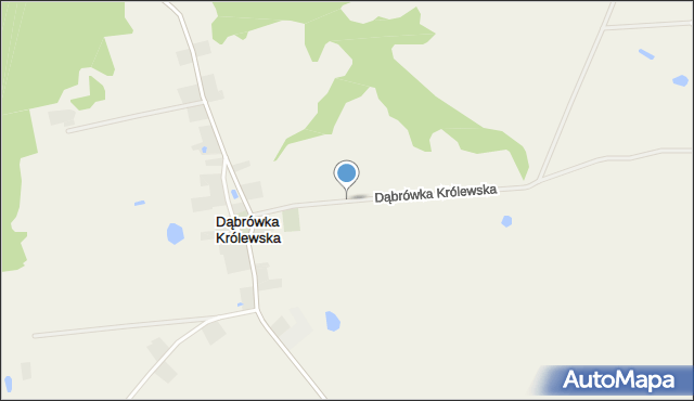 Dąbrówka Królewska, Dąbrówka Królewska, mapa Dąbrówka Królewska