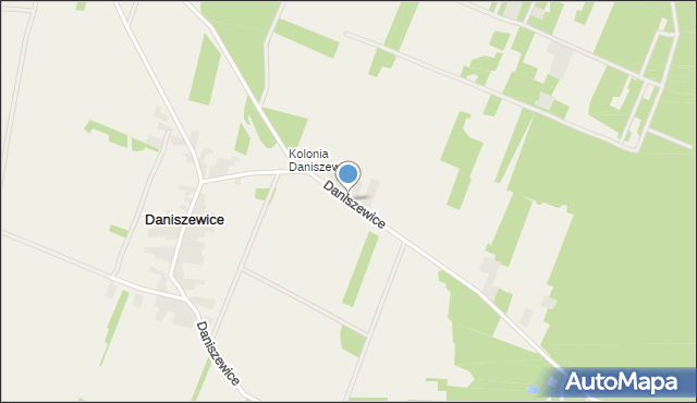Daniszewice, Daniszewice, mapa Daniszewice