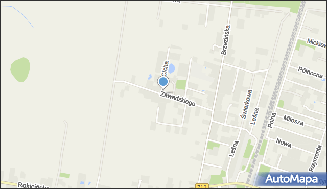 Rokiciny-Kolonia, Dawna Zawadzkiego Aleksandra, gen., mapa Rokiciny-Kolonia