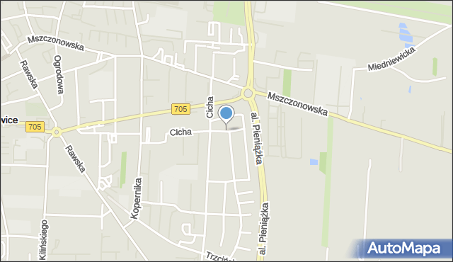 Skierniewice, Dawna Szenwalda Lucjana, mapa Skierniewic
