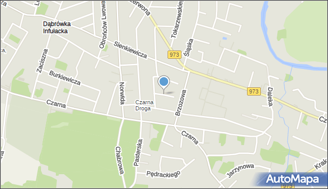 Tarnów, Dawna Rzymowskiego Wincentego, mapa Tarnów