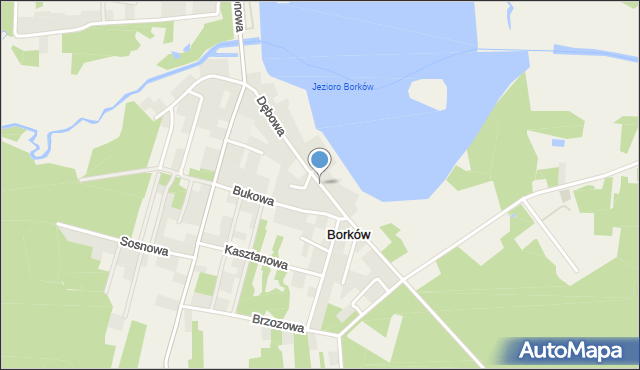 Borków gmina Daleszyce, Dębowa, mapa Borków gmina Daleszyce