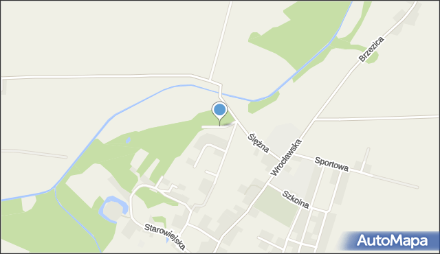 Borów powiat strzeliński, Dębowa, mapa Borów powiat strzeliński