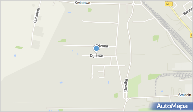 Ciechanów, Dębowa, mapa Ciechanów