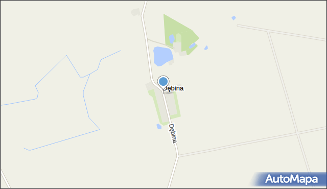 Dębina gmina Pniewy, Dębina, mapa Dębina gmina Pniewy