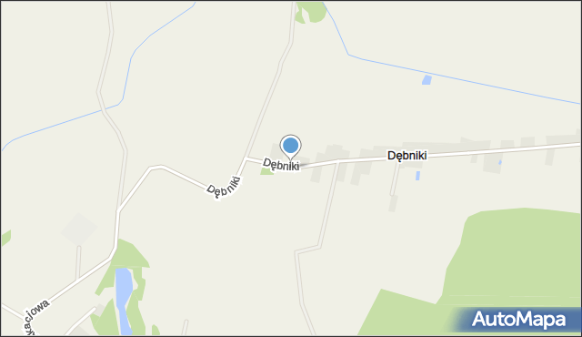 Dębniki gmina Strzelin, Dębniki, mapa Dębniki gmina Strzelin