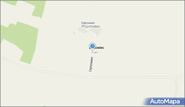 Dębowiec gmina Bledzew, Dębowiec, mapa Dębowiec gmina Bledzew
