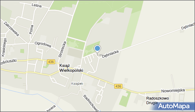 Książ Wielkopolski, Dębniacka, mapa Książ Wielkopolski