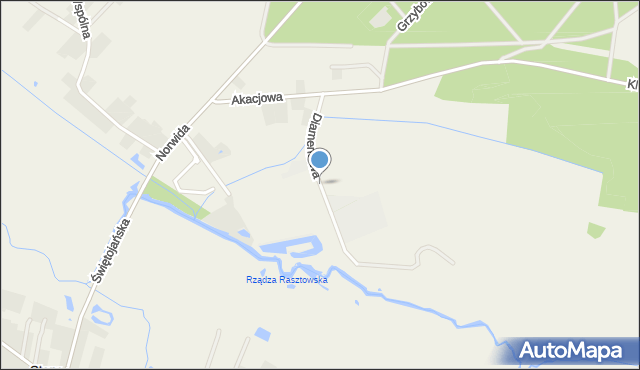 Rasztów, Diamentowa, mapa Rasztów