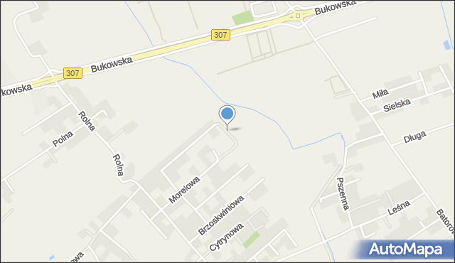 Dąbrowa gmina Dopiewo, Dojazd, mapa Dąbrowa gmina Dopiewo