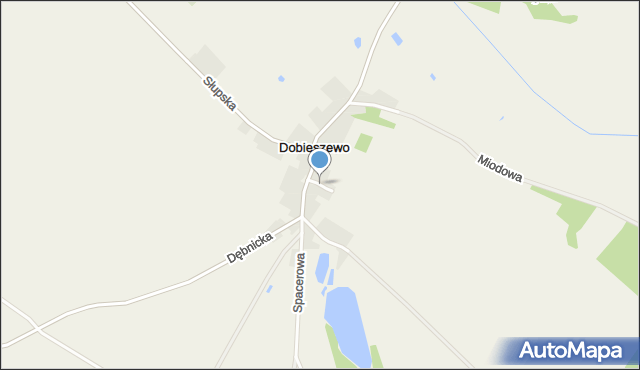 Dobieszewo gmina Dębnica Kaszubska, Dobieszewo, mapa Dobieszewo gmina Dębnica Kaszubska