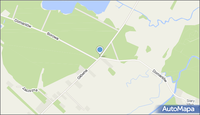 Domaniów gmina Przytyk, Domaniów, mapa Domaniów gmina Przytyk