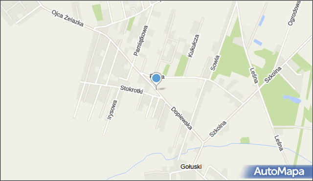 Gołuski, Dopiewska, mapa Gołuski