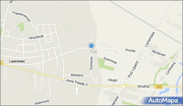 Konin, Domeyki Ignacego, mapa Konina