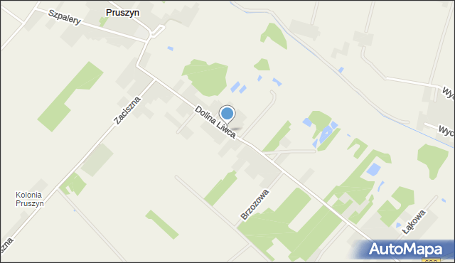 Pruszyn gmina Siedlce, Dolina Liwca, mapa Pruszyn gmina Siedlce