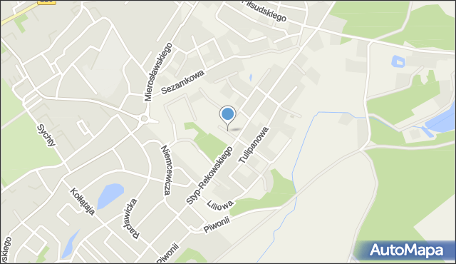 Rzepnica, Domańskiego Bolesława, ks. dr., mapa Rzepnica