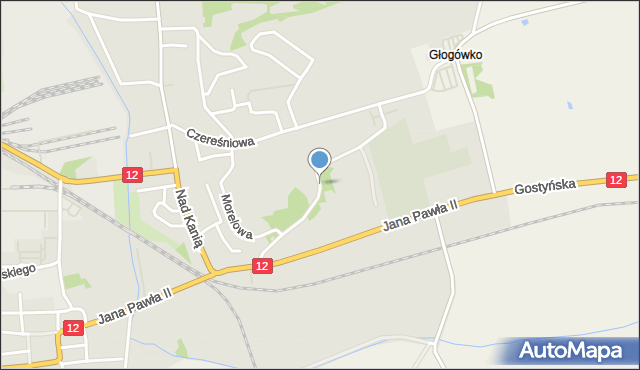Gostyń, Droga do Klasztoru, mapa Gostyń