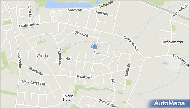 Lubliniec, Drozdów, mapa Lubliniec