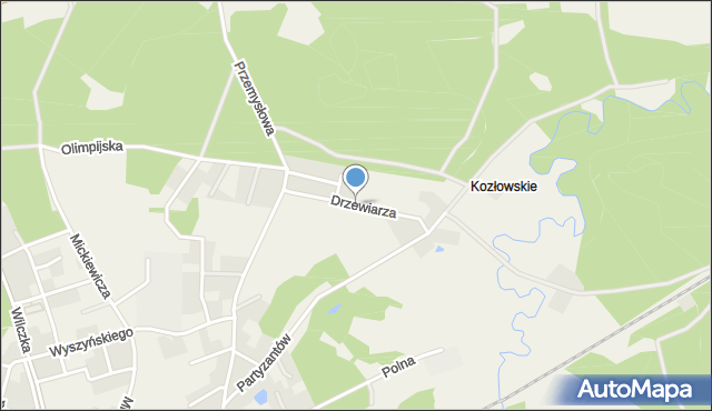 Luzino, Drzewiarza, mapa Luzino