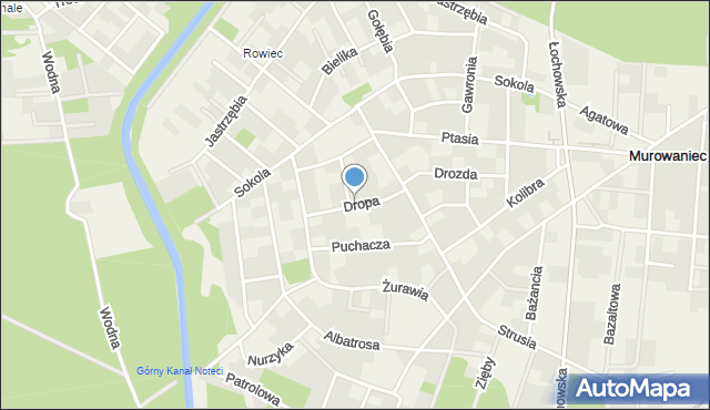 Murowaniec gmina Białe Błota, Dropa, mapa Murowaniec gmina Białe Błota
