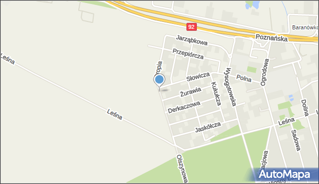 Przeźmierowo, Dropia, mapa Przeźmierowo