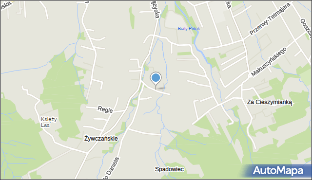 Zakopane, Droga do Wantuli, mapa Zakopanego