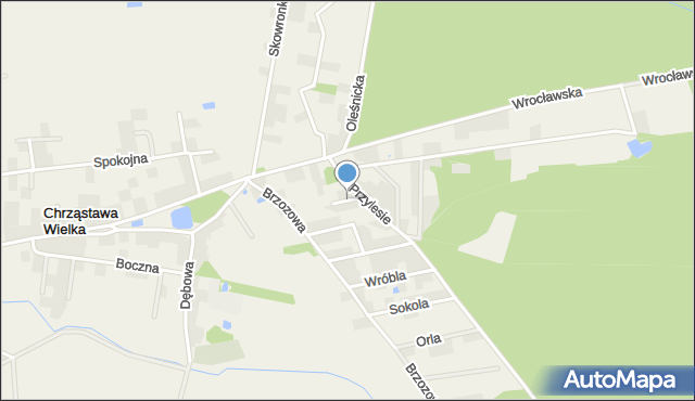 Chrząstawa Wielka, Dzikich Ptaków, mapa Chrząstawa Wielka