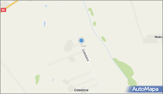 Dziedzice gmina Bielsk, Dziedzice, mapa Dziedzice gmina Bielsk
