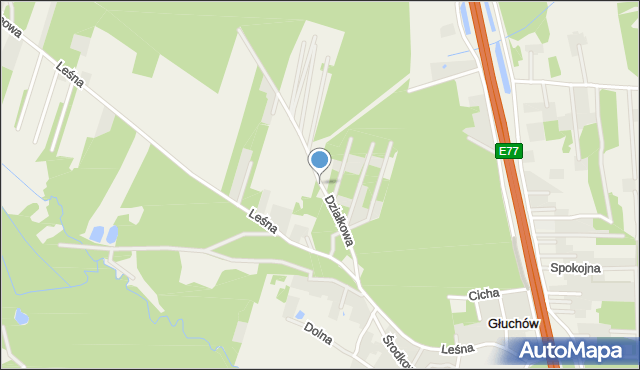Głuchów gmina Grójec, Działkowa, mapa Głuchów gmina Grójec