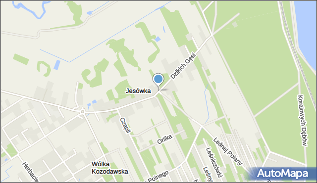 Jesówka, Dzikich Gęsi, mapa Jesówka