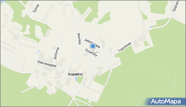 Kopalino, Dzierzby, mapa Kopalino