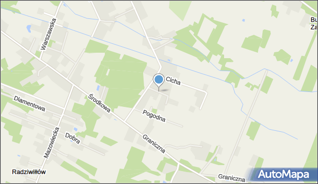 Radziwiłłów gmina Puszcza Mariańska, Działkowa, mapa Radziwiłłów gmina Puszcza Mariańska