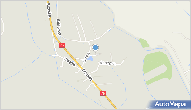 Kraków, Flame Henryka, mapa Krakowa