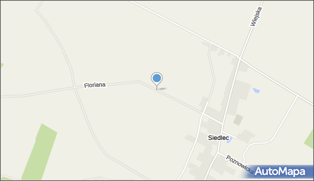 Siedlec gmina Izbicko, Floriana, mapa Siedlec gmina Izbicko