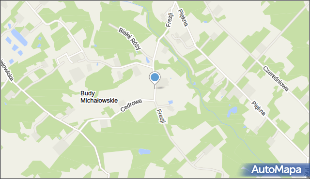 Budy Michałowskie gmina Jaktorów, Frezji, mapa Budy Michałowskie gmina Jaktorów