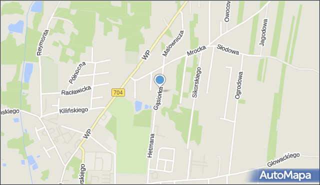 Brzeziny, Gąsiorka Franciszka, mapa Brzeziny