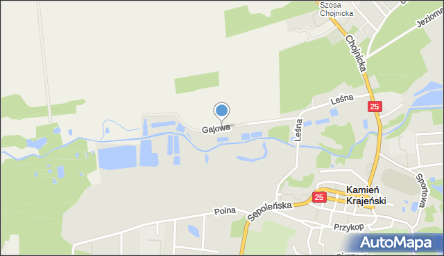 Kamień Krajeński, Gajowa, mapa Kamień Krajeński