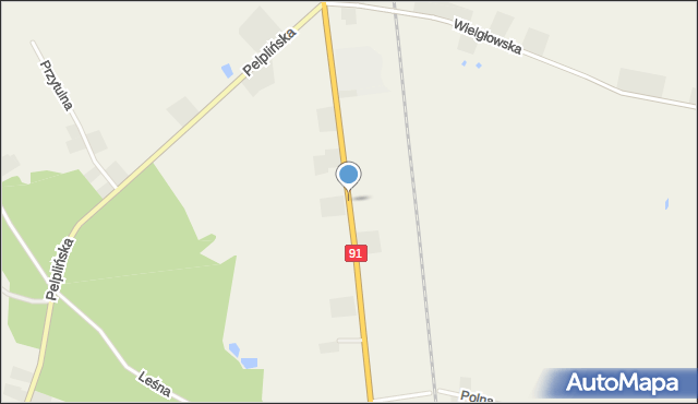 Wielgłowy, Gdańska, mapa Wielgłowy