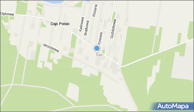 Dąb Polski, Gerberowa, mapa Dąb Polski
