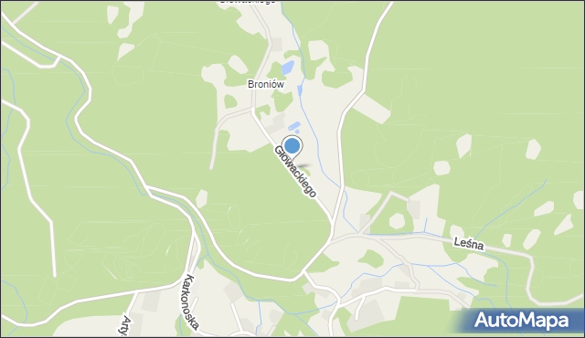 Borowice gmina Podgórzyn, Głowackiego, mapa Borowice gmina Podgórzyn