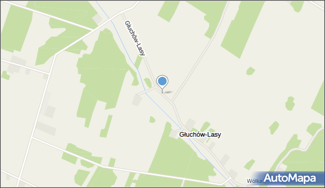 Głuchów-Lasy, Głuchów-Lasy, mapa Głuchów-Lasy