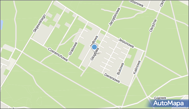 Magdalenka gmina Lesznowola, Głogowa, mapa Magdalenka gmina Lesznowola