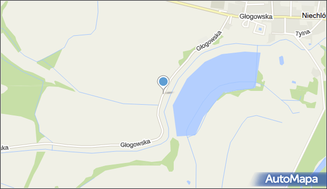 Niechlów, Głogowska, mapa Niechlów