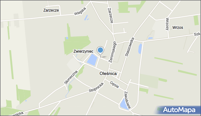 Oleśnica powiat staszowski, Gliniki, mapa Oleśnica powiat staszowski