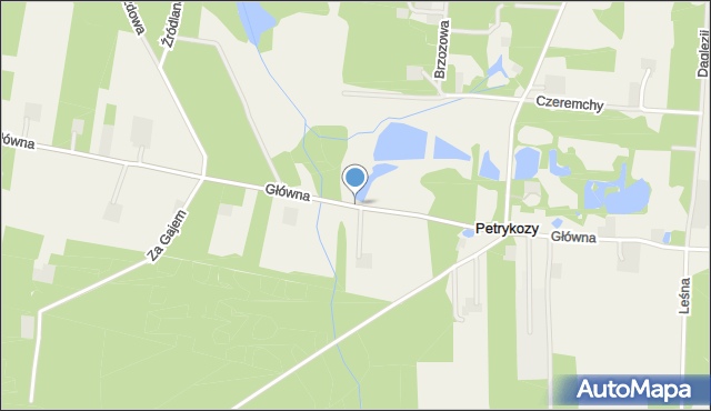Petrykozy gmina Żabia Wola, Główna, mapa Petrykozy gmina Żabia Wola