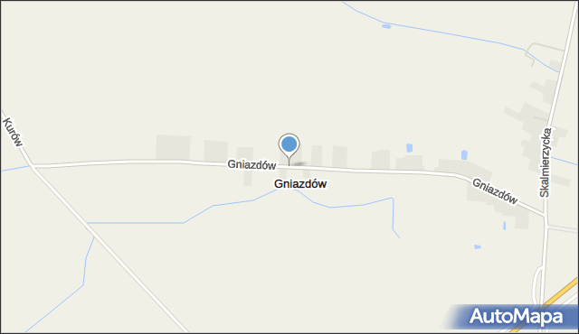 Gniazdów gmina Nowe Skalmierzyce, Gniazdów, mapa Gniazdów gmina Nowe Skalmierzyce