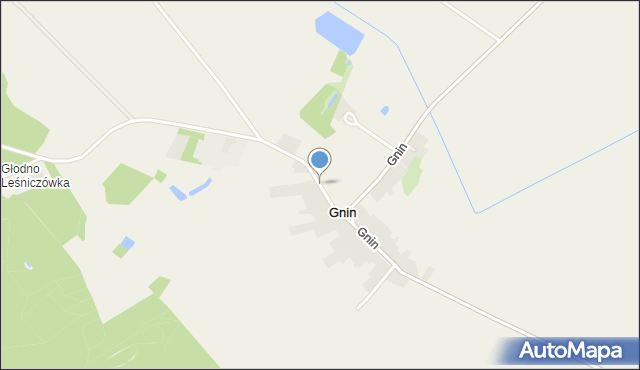 Gnin, Gnin, mapa Gnin