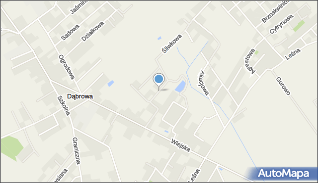 Dąbrowa gmina Dopiewo, Goździkowa, mapa Dąbrowa gmina Dopiewo