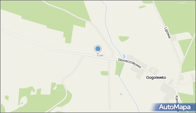Gogolewko gmina Dębnica Kaszubska, Gogolewko, mapa Gogolewko gmina Dębnica Kaszubska